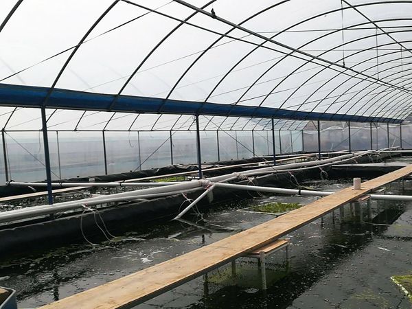 养殖防渗膜厂家